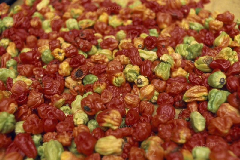 IVORY COAST, Abidjan, Display of chilies for sale in covered market.