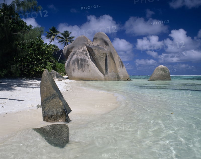 SEYCHELLES, La Digue, Source De Argent, Large rock formations on sandy beach with clear shallow water and palm trees growing along coastline