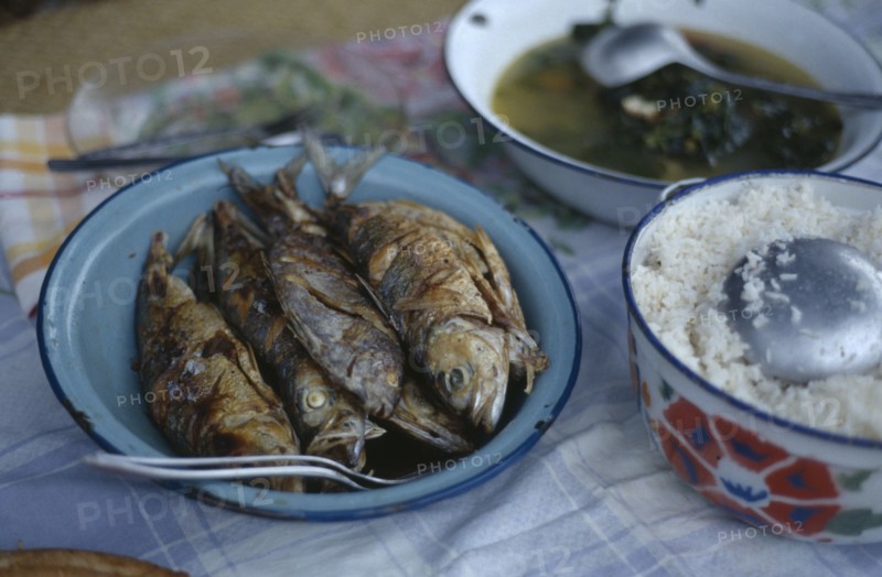 MADAGASCAR, Vohemar, Typical meal of  fish served with rice and a piquant sauce.