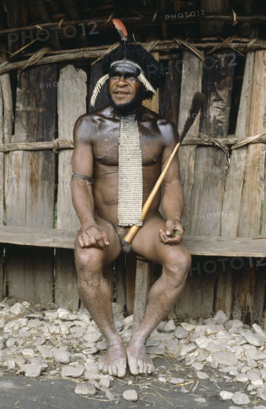 INDONESIA, Irian Jaya, Baliem Valley, Dani Warrior man wearing a penis gourd with the top made from the tail of Cuscus animal