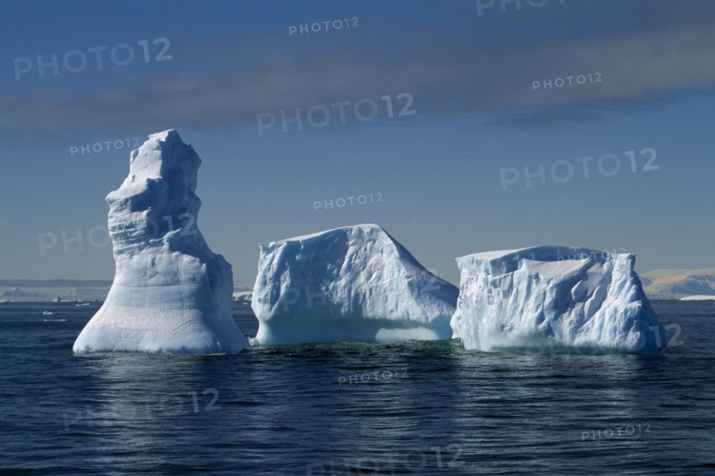 ANTARCTIC, Peninsula, Melting Icebergs on open water