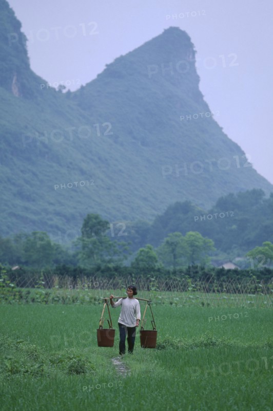 CHINA, Guangxi Province, Yangshuo, Woman working in rice paddies in distinctive karst limestone landscape typical of the region.