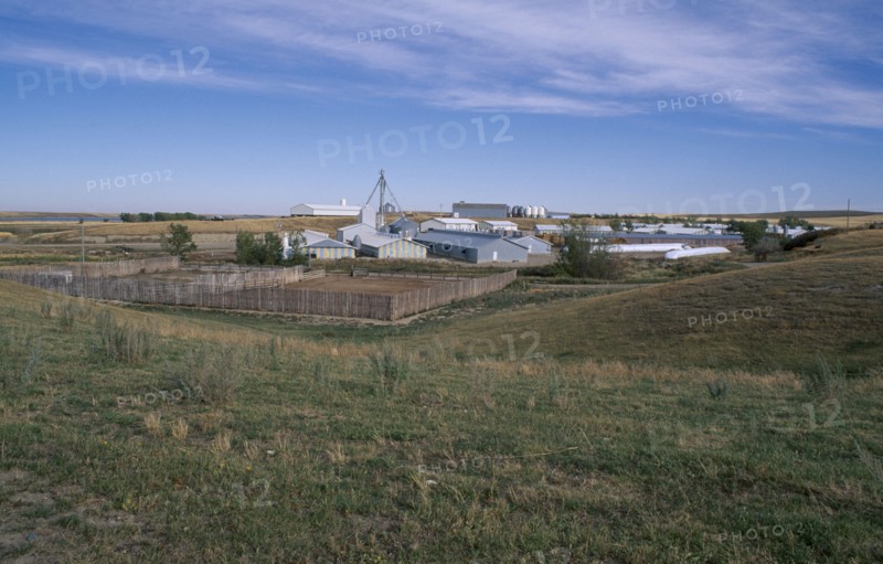 CANADA, Alberta, Milford Hutterite farm colony near Raymond in Southern Alberta.  Hutterites are a communal branch of Anabaptists forming male dominated rural colonies.