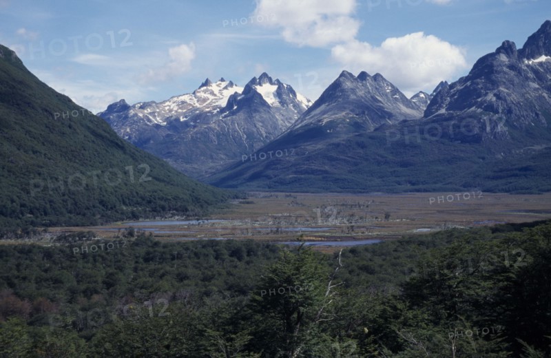 ARGENTINA, Patagonia, Tierra del Fuego, View across green forest towards partially snow capped mountains