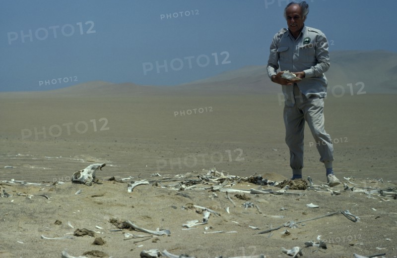 PERU, Paracas National Park, The late conservationist  Felipe Benavides at Guanacos Cemetery