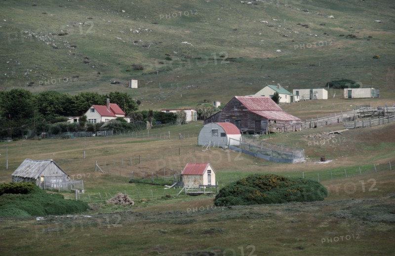 FALKLAND ISLANDS, Carcass Island, Settlement of houses