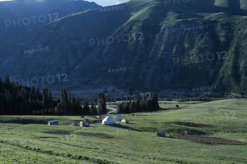 KIRGHIZSTAN, Tyan Shan, Horses grazing next to small huts on the mountain range.