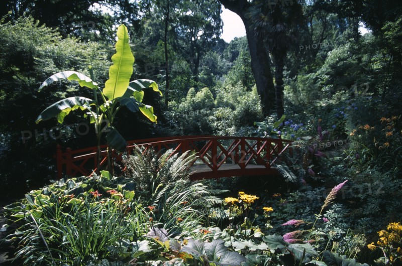 ENGLAND, Dorset, Weymouth, "Abbotsbury Sub Tropical Gardens. Red oriental bridge surrounded by exotic plants, trees and flowers"