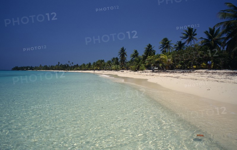 HONDURAS, Bay Islands, Roatan, "West Bay.  Stretch of quiet sandy beach fringed with palm trees with clear, aquamarine water in foreground."