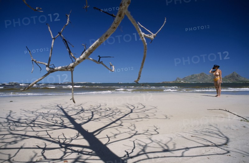 MADAGASCAR, Fort Dauphin, Lokaro, The leafless branches of a tree casting skeletal shadows on the sand of a beach with a woman wearing a hat standing nearby and mountains seen from across the ocean in the distance