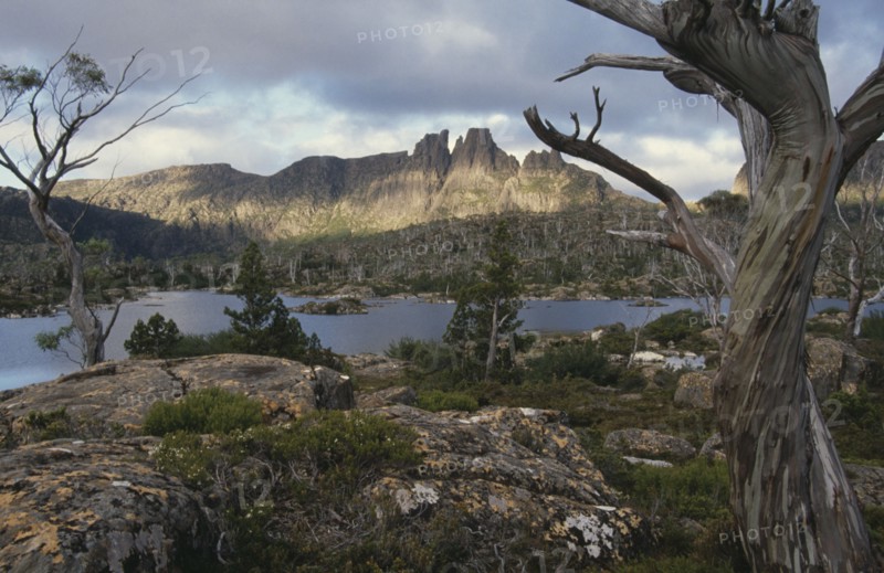 AUSTRALIA, Tasmania, Lake Elysia and Mount Geryon in The Labyrinth in Cradle Mountain Lake St Clair National Park