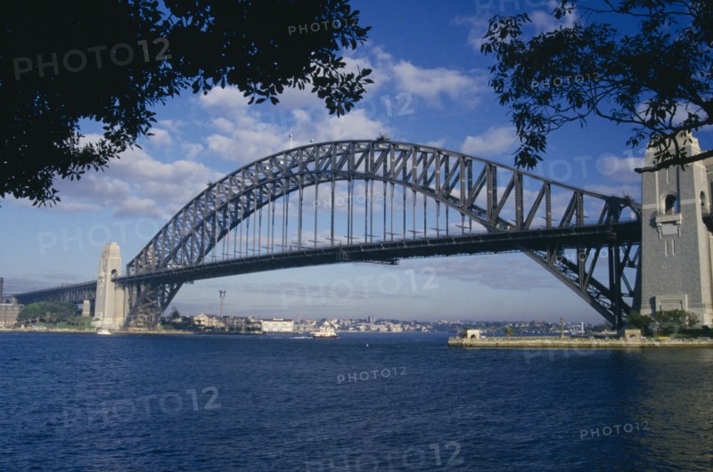 AUSTRALIA, New South Wales, Sydney, The Harbour Bridge framed by silhouetted trees.