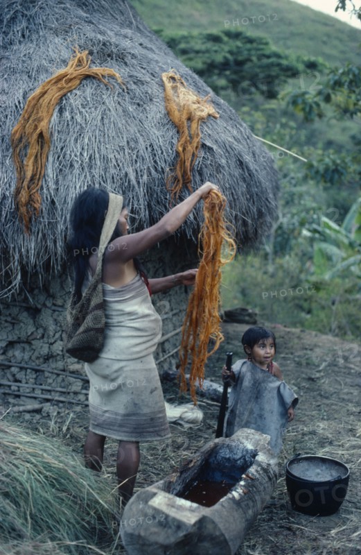COLOMBIA, Sierra Nevada de Santa Marta, San Antonio, Mama/priest Valencia's wife rinses fique/cactus fibre in root dye in a hollowed timber trough to use for banded design on mochilas/ shoulder bags  such a mochila strung from her forehead She and baby daughter dressed in traditional woven cotton mantas/cloaks.