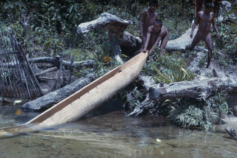COLOMBIA, Vaupes Region, Tukano Tribe, Boys bring a newly hewn and shaped canoe out of the forest for burning process by the river.