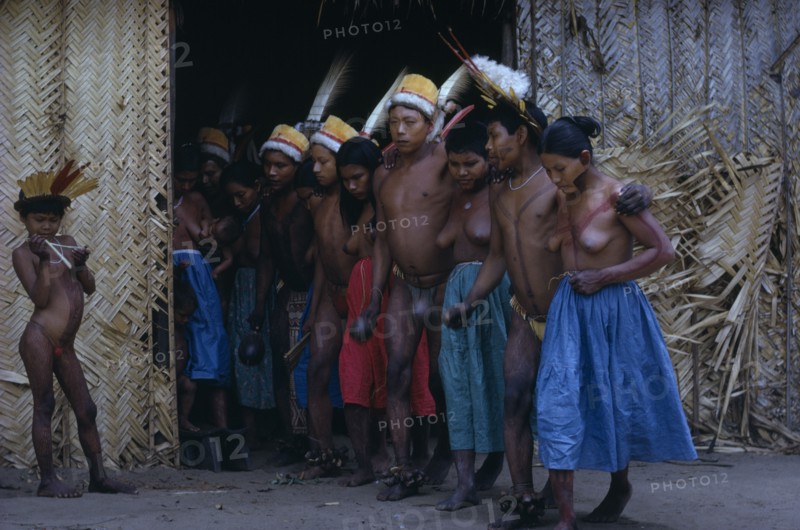 COLOMBIA, Vaupes Region, Tukano Tribe, "Men and women emerge from maloca dancing the Manioc Dance, adorned with precious feather head-dresses, some with bark-cloth aprons; women wearing new tradecloth skirts. Young boy with feather crown examines an egret bone flute"