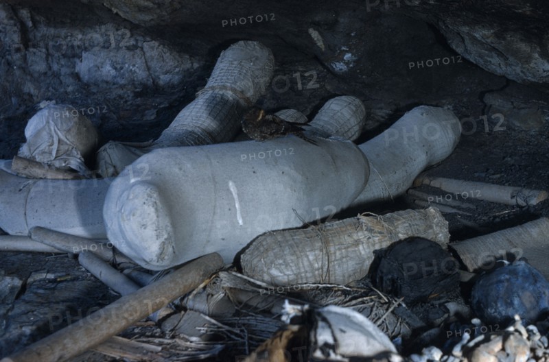 COLOMBIA, Sierra de Perija, Yuko - Motilon, "Ritual burial cave in forested hills behind village containing mummified corpses with nightjar perched on one, also loose skulls and bones and spindles of the dead,."