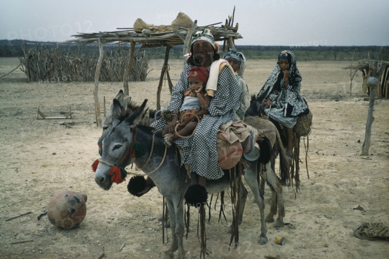 COLOMBIA, Guajira Peninsula, Guajiro / Wayuu Tribe, "Mother and daughters on donkeys, normal means of transport in Guajira. Mother protects face from strong sun and salty winds with mixture of burnt fungi and goat fat. Note fired clay water vessel on ground and cactus-wood goat enclosure in background"