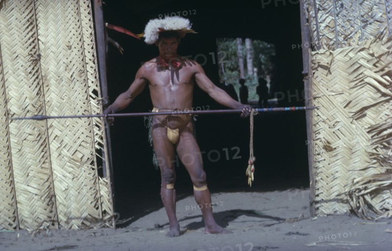 COLOMBIA, Vaupes Region, Tukano Tribe, "Shaman in full festive regalia – feather head-dress, red “karajuru” facial paint, dark purple “we” body dye, monkey tooth belt, “cumare”  fibre garters painted with yellow clay. He beats and waves the “kurubeti” pebble stave to ward off evil spirits and thunder."