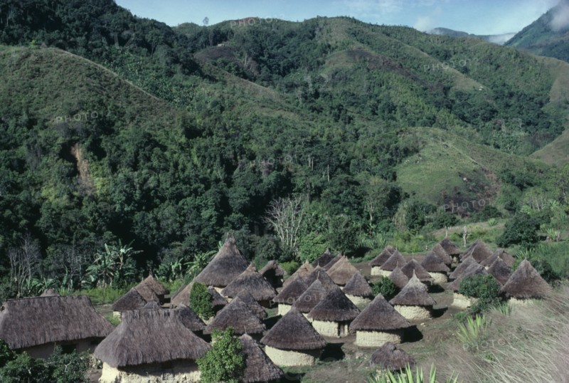 COLOMBIA, Sierra Nevada de Santa Marta, Southern foothills of the Sierra, "Chendukua. Traditional old Kogi village of circular mud walled and grass-thatched  households surrounded by semi-tropical cultivation plots mainly plantains coffee yucca/manioc and maize,  hillsides often denuded of trees due to previous over-cultivation/grazing.  "