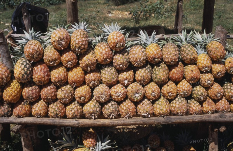 MADAGASCAR, Markets, Road to Antsirabe. Pineapples for sale on roadside stall