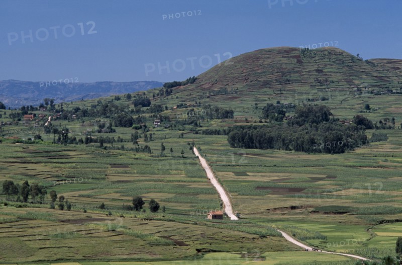 MADAGASCAR, Landscape, Near Antsirabe. Elevated view over patchwork fields with a dirt road running through the middle towards trees and hills