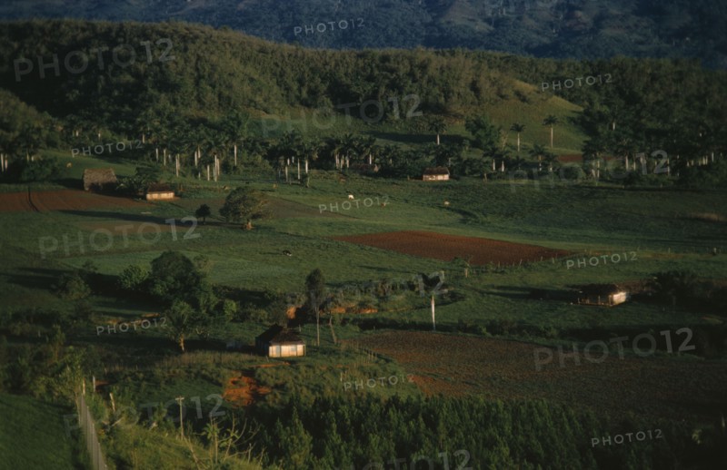 CUBA, Pinar del Rio, Green Farmland and farm buildings