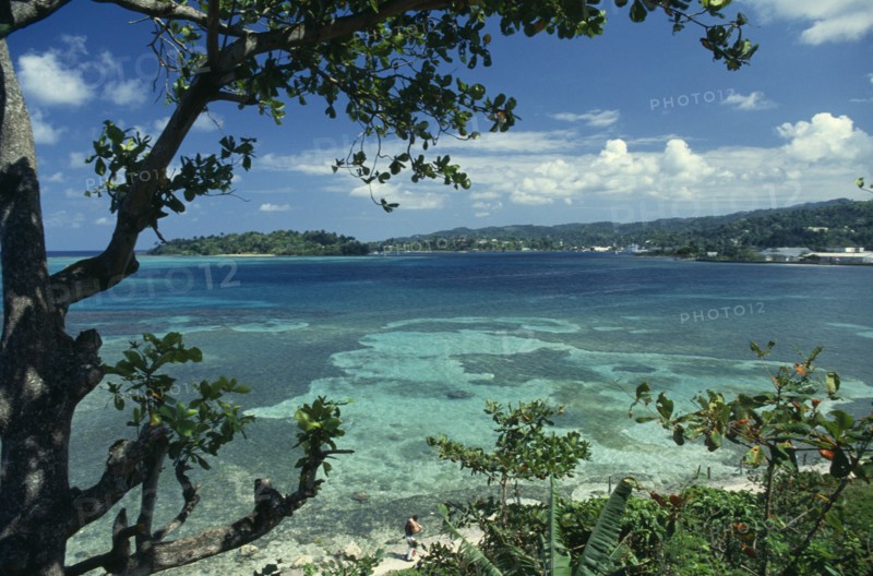 WEST INDIES, Jamaica, Port Antonio, View across turquoise sea towards beach and tree covered coast part framed by tree branches.
