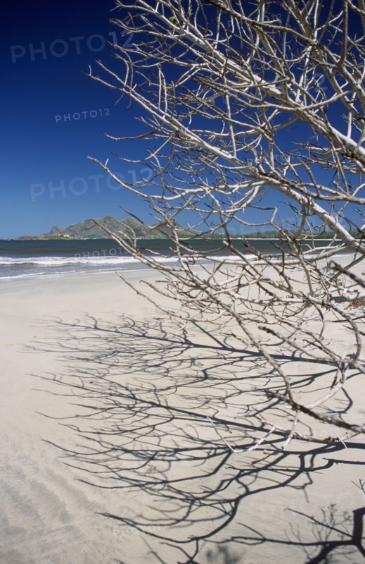 MADAGASCAR, Fort Dauphin, Lokaro, View through leafless tree branches towards sandy beach and sea with mountains in the distance