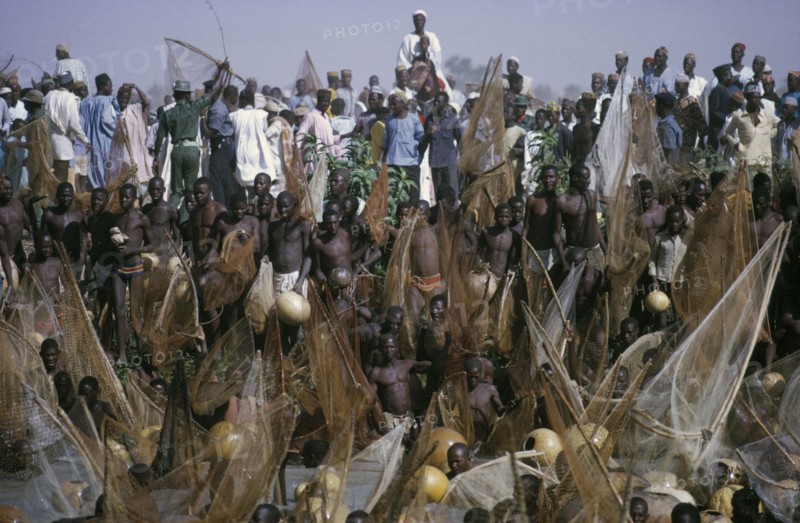 NIGERIA, North, Argungu, Crowds of spectators and competitors in annual three day fishing festival in which giwan ruwa fish are caught with hand nets and calabashes.