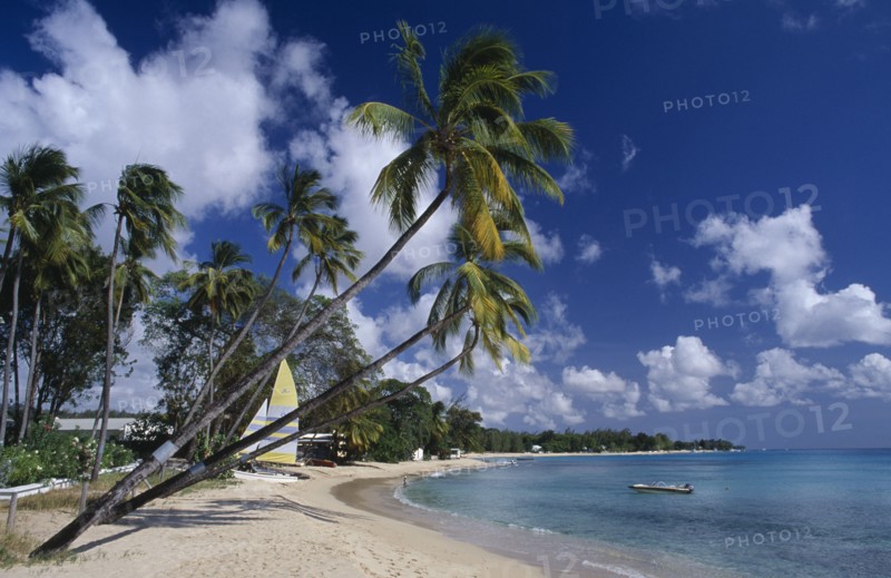BARBADOS, St Peter Parish, Mullins Beach, Quiet sandy beach near the King’s Beach Hotel on coast of north western parish.