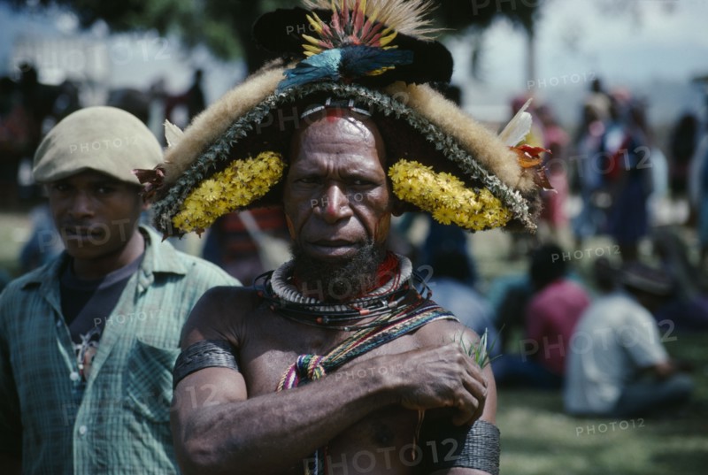 PACIFIC ISLANDS, Melanesia, Papua New Guinea, Southern Highlands. Tari. Huli Tribe Wigmen. Man in elaborate headdress taking part in Sing Sing festival