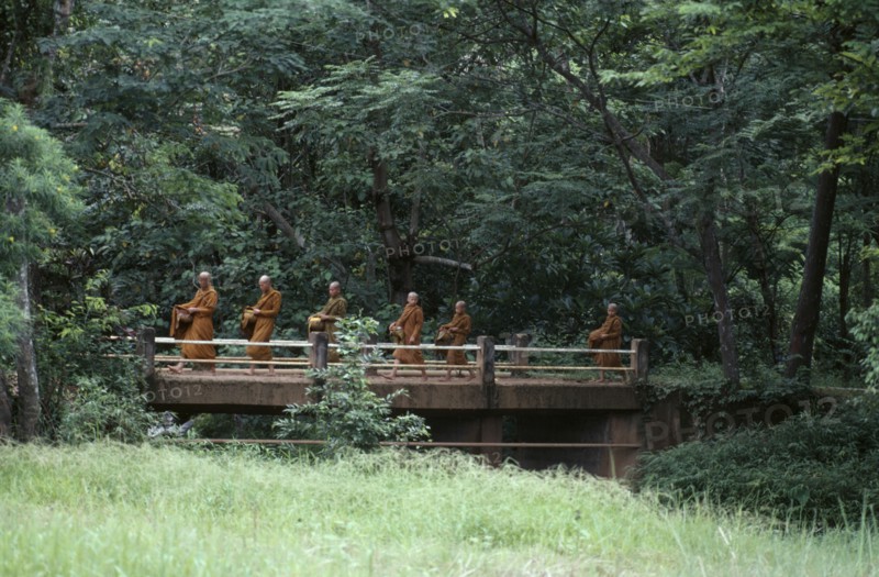 THAILAND, Monks, Buddhist monks on morning alms round.