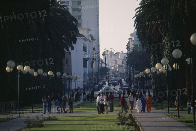 MOROCCO, Rabat, City centre and Avenue Mohammed V lined by trees and street lights.