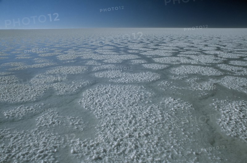 BOLIVIA, Altiplano, Salar de Uyuni, Salt plains in year of heavy rain.