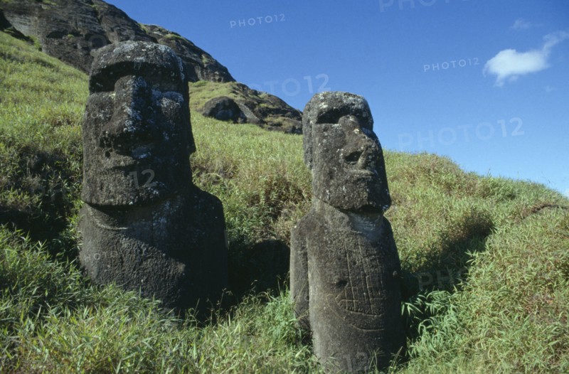 PACIFIC ISLANDS, Easter Island, Rano Raraku Crater. Moai Statues abandonned in transit on the slopes of crater
