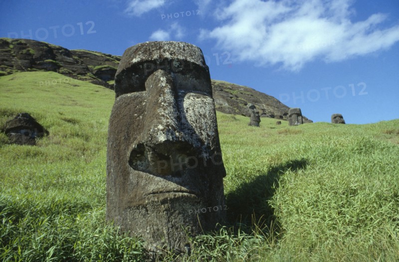 PACIFIC ISLANDS, Easter Island, Rano Raraku Crater. Moai Statues abandonned in transit on the slopes of crater