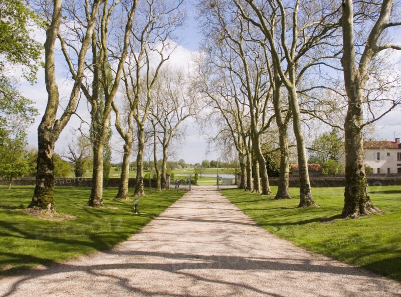 FRANCE, Deux Sevres Region, Poitiers, Trees line the gravelled path leading towards a golf course in the town of Les Forges.