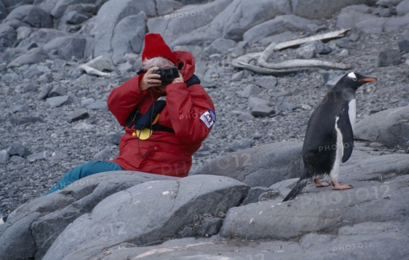 ANTARCTICA, Peninsula Region, Goudier Island, Port Lockroy. Tourist photographing Gentoo Penguin