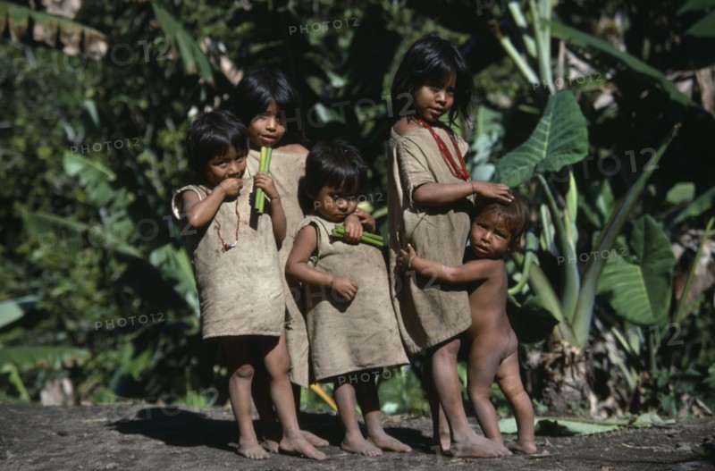 COLUMBIA, Kogi , Kogi Indian children affectionately holding on to each other carrying sticks of green cane with vegetation behind them