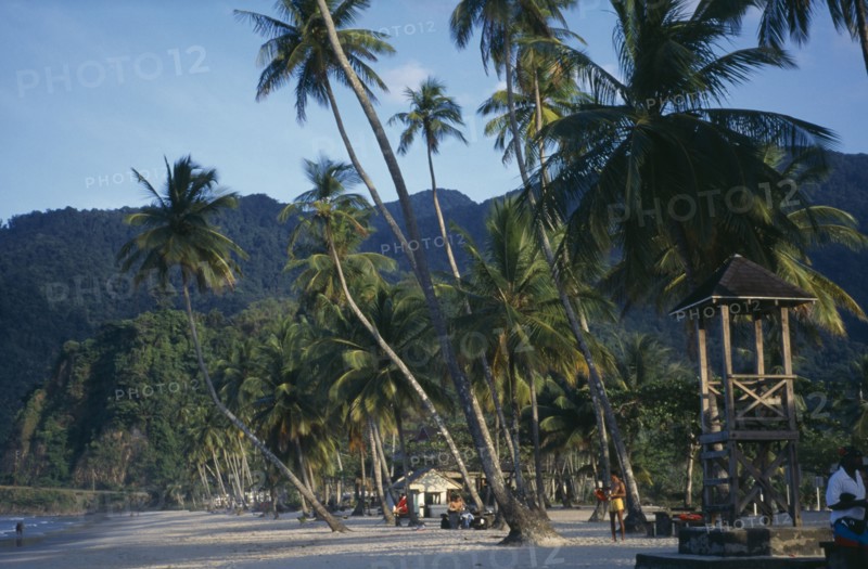 TRINIDAD, Maracas Bay, Palm fringed sandy beach with life guards stand.