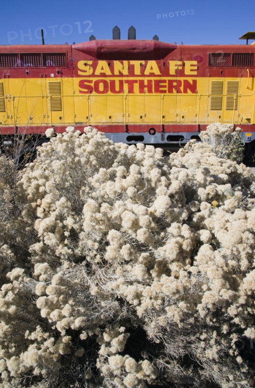USA, New Mexico, Santa Fe, Old Santa Fe Southern railway engine
