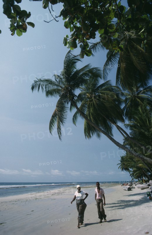 GABON, Landscape, Cape esteries. Man and woman walking along sandy beach lined with overhanging palm trees
