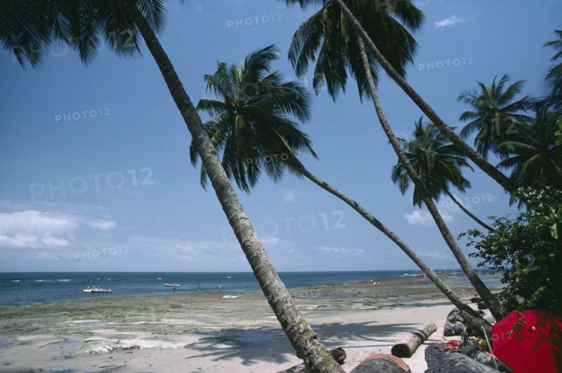 GABON, Landscape, Beach with overhanging palm trees and people at the waters edge. Red sun umbrella in the foreground.