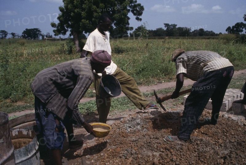 GAMBIA, People, Work, Men building rural school.
