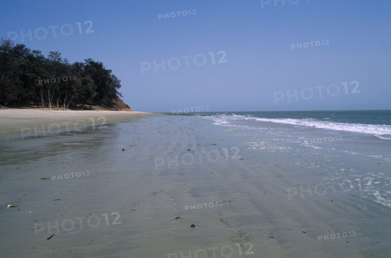 GUINEA BISSAU, Cacheu Region, Varela, "GUINEA BISSAU, Cacheu Region, Varela Atlantic Ocean. View along empty stretch of beach towards the sea. Trees growing next to the sandy beach"