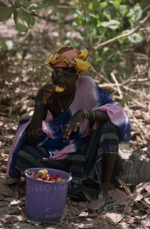 GAMBIA, People, Women, Woman sat  with bucket eating cashew fruit