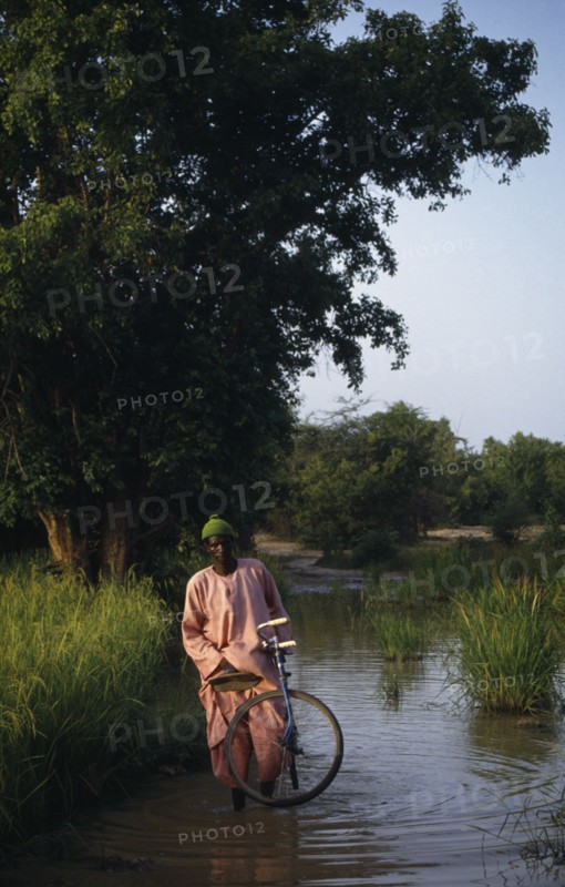 GAMBIA, People, Men, Man with bicycle wading through water