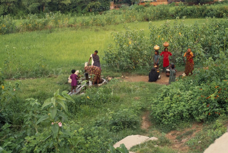 INDIA, Uttar Pradesh, Jhansi, Indian women drawing water from tubewell in rural area.