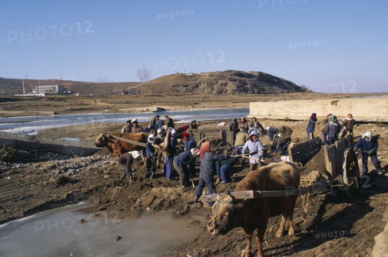 NORTH KOREA, N. Hwanghae Prov., Environment, Repairing bridge damaged by 1995 floods.