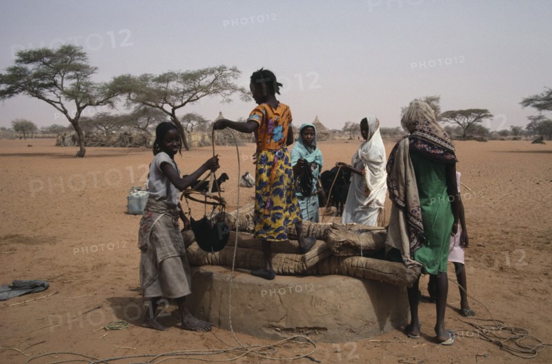 SUDAN, Kordofan, North, Women and young girls drawing water from well in desert area with goat herd and village compound behind.